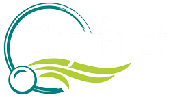 Logo Auxinet